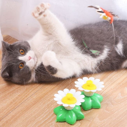 Chat en mode chasse face au papillon tournoyant Papilune™ – stimule les instincts naturels en toute sécurité