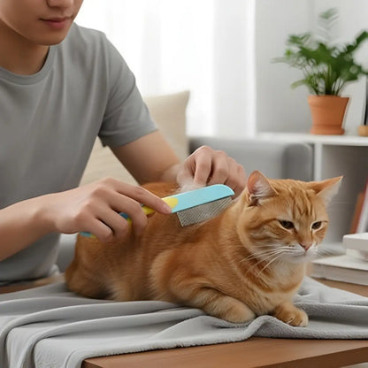 Peigne a puce chat utilisé pour un toilettage doux et efficace à domicile. - fond neutre