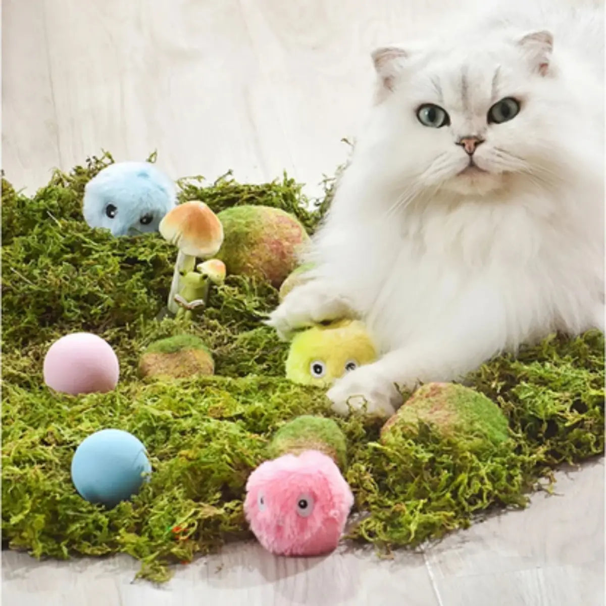 Chat blanc jouant avec des peluches colorées sur un tapis de mousse.