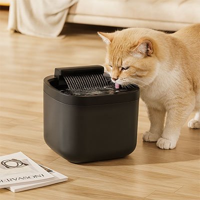Fontaine eau chat | PetHydro™