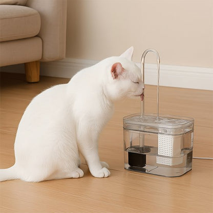 Fontaine à eau chat | AquaClair™