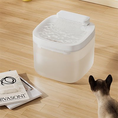 Fontaine eau chat | PetHydro™
