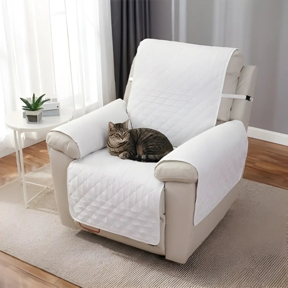 Protection canapé chat avec couverture SoftShield™ idéale pour fauteuils. - intérieur moderne