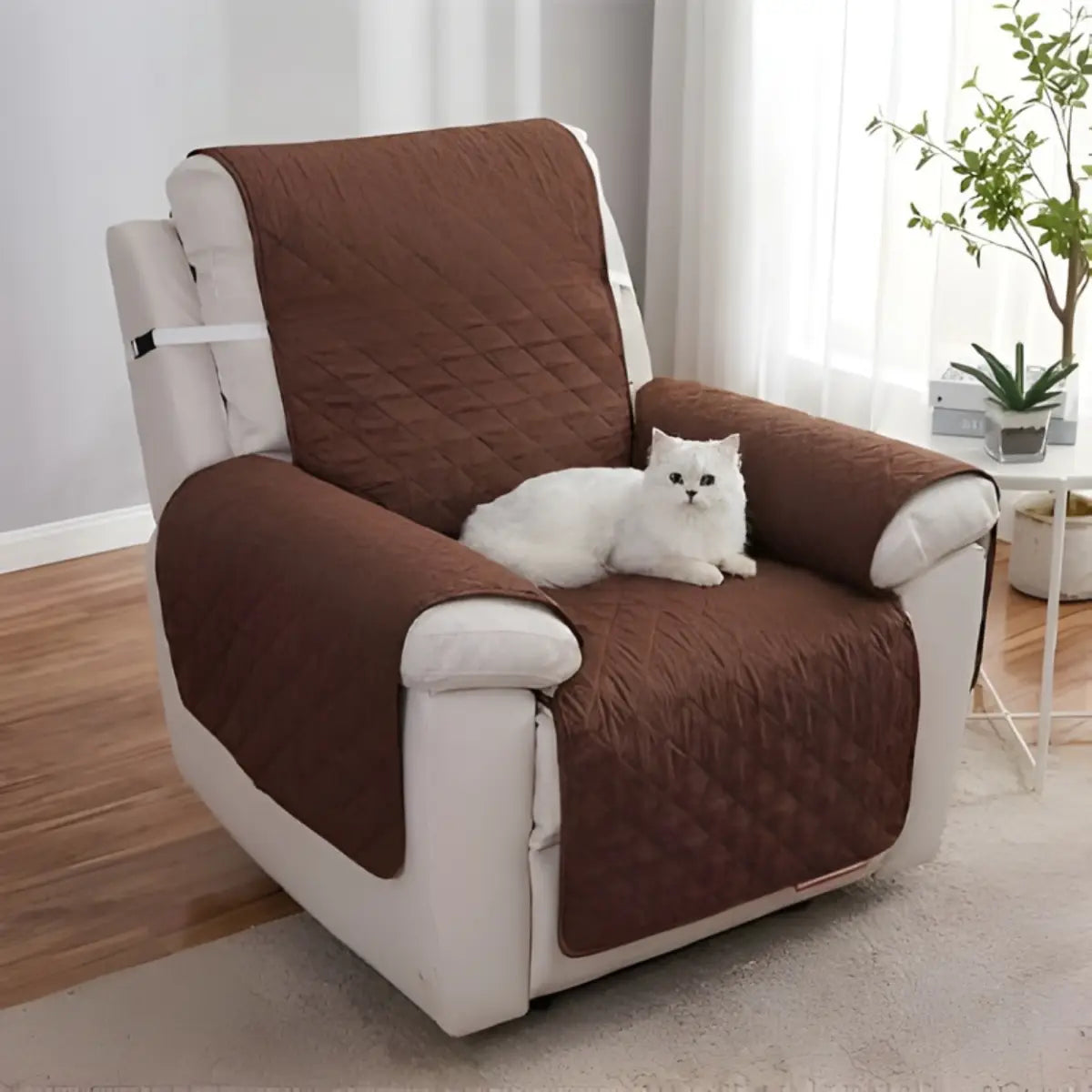 protection canapé chat avec couverture marron et chat blanc sur fauteuil
