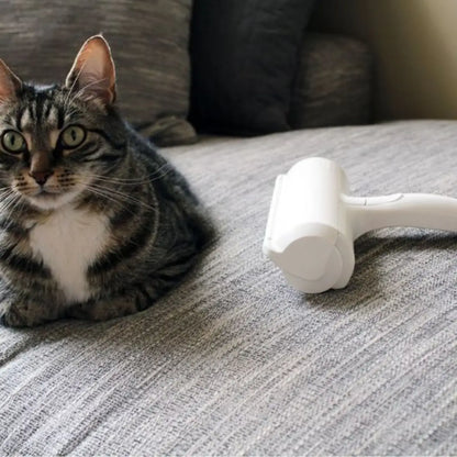rouleau anti poil blanc posé sur un canapé gris à côté d'un chat rayé