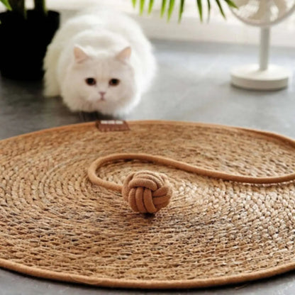 Tapis griffoir chat rond en fibres naturelles avec jouet intégré, idéal pour les chats. - fond neutre