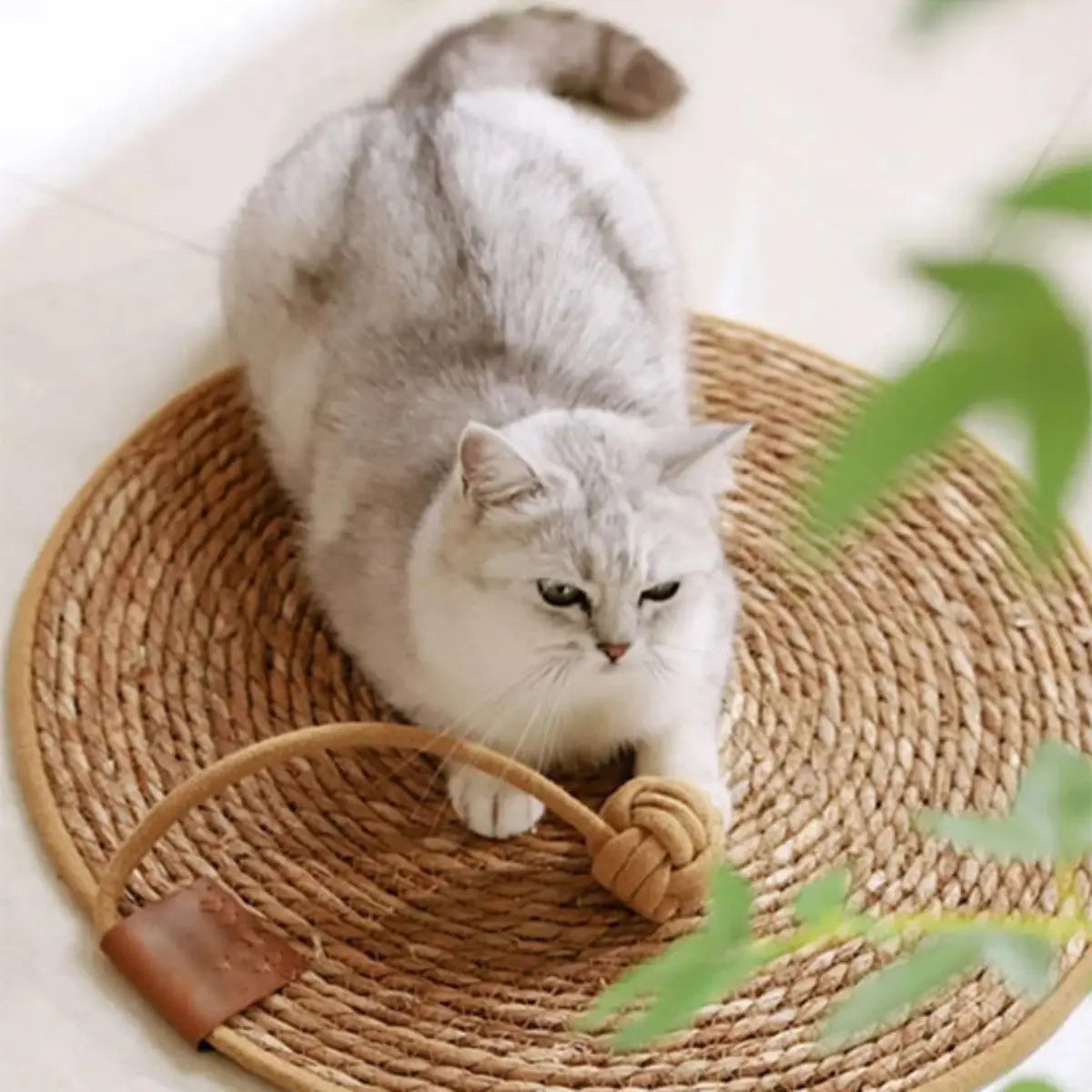 tapis griffoir chat naturel et design pour le confort et l'amusement de votre félin