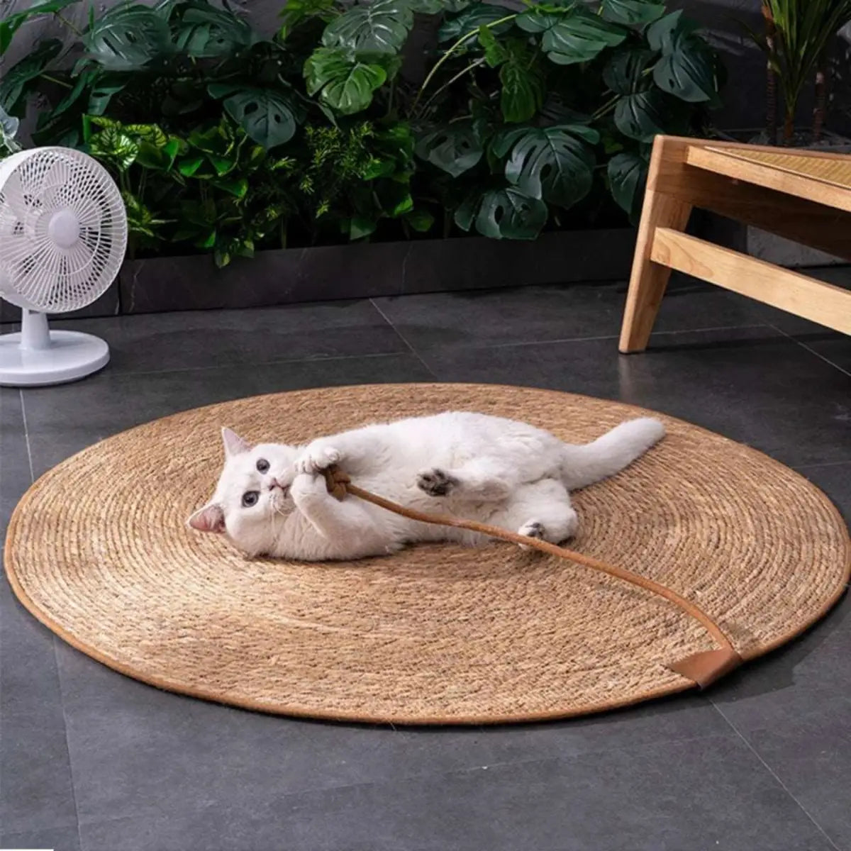 tapis griffoir chat rond en fibres naturelles avec un chat jouant dessus