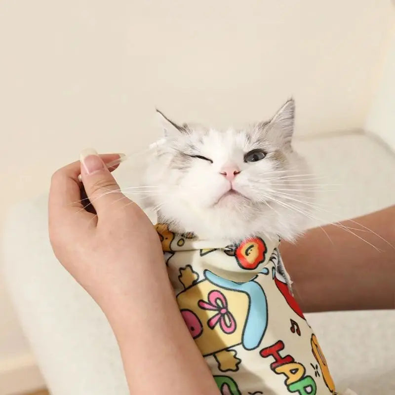 chat apaisé dans Cocooni tenu dans les bras pendant le toilettage chat