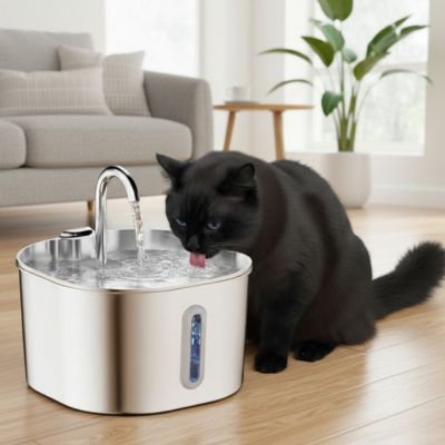Un chat boit sereinement à une fontaine à eau silencieuse en acier inoxydable, assurant son hydratation et son bien-être.